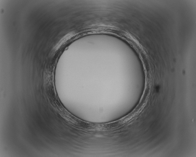 X0000087691259200705040812