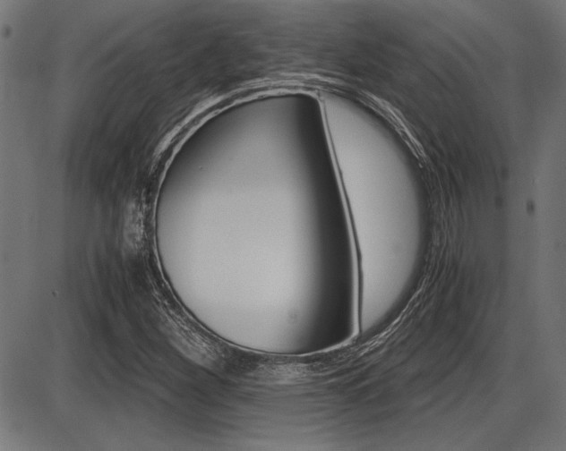 X0000087691260200705040812