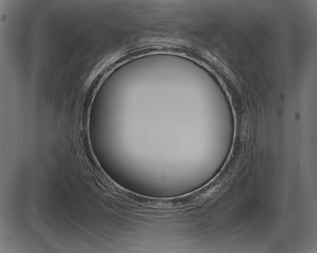 X0000087691261200705040812