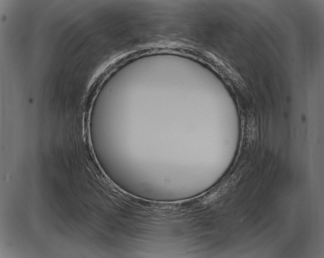 X0000087691262200705040812
