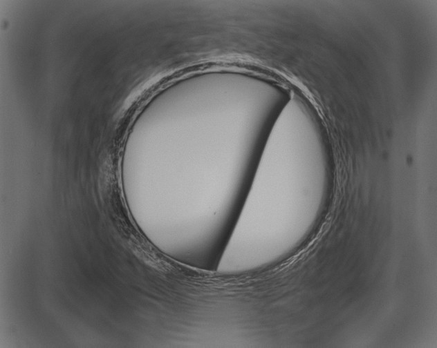 X0000087691263200705040812