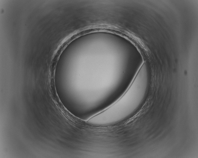 X0000087691264200705040812
