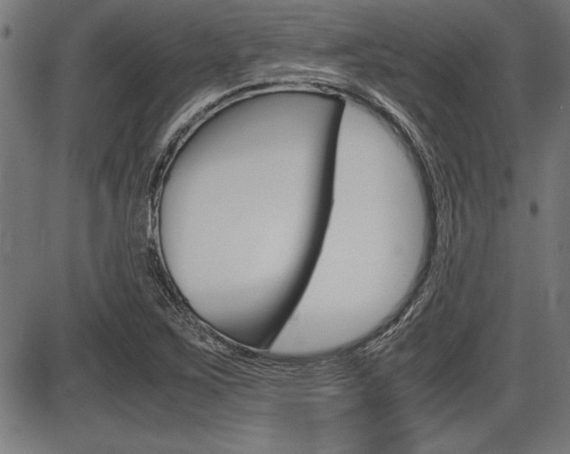 X0000087691267200705040812