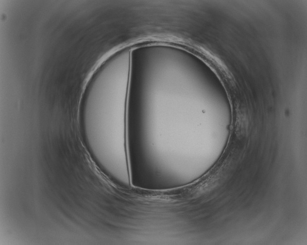 X0000087691272200705040812