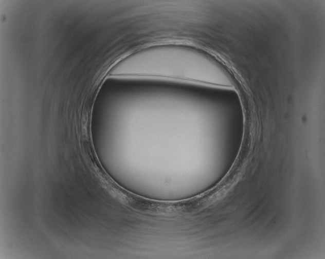 X0000087691273200705040812