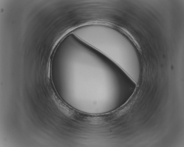 X0000087691276200705040812