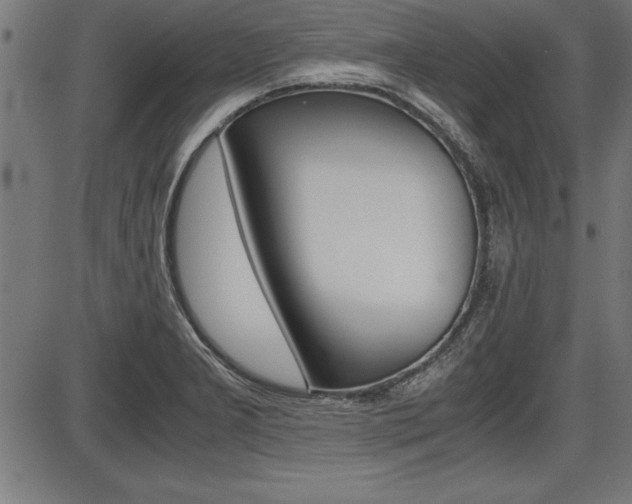 X0000087691277200705040812