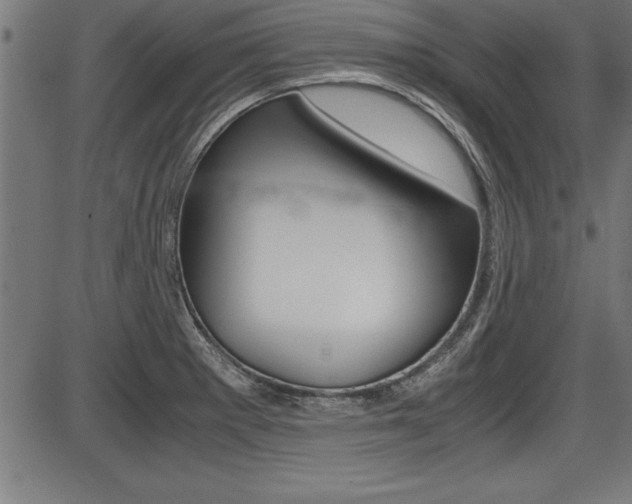 X0000087691281200705040812