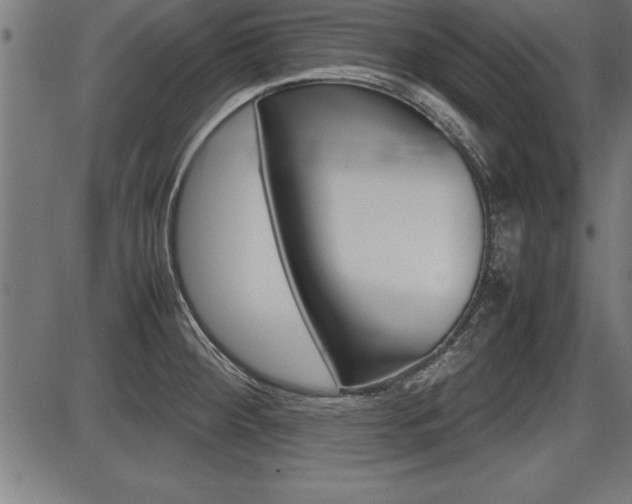 X0000087691284200705040812