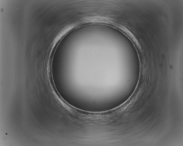 X0000087691285200705040812