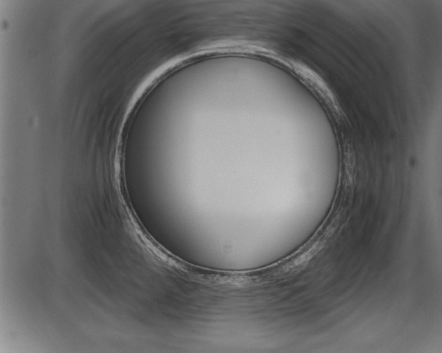 X0000087691288200705040812