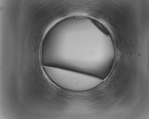 X0000087691295200705040812