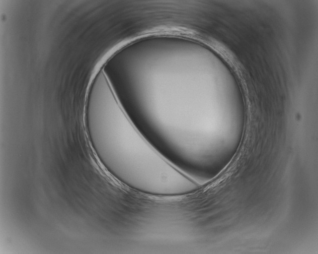 X0000087691296200705040812
