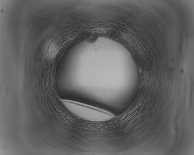 X0000087691297200705040811