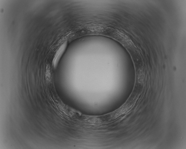 X0000087691298200705040811