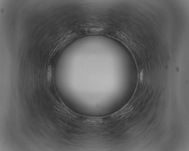 X0000087691299200705040811