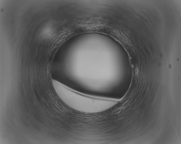 X0000087691300200705040811