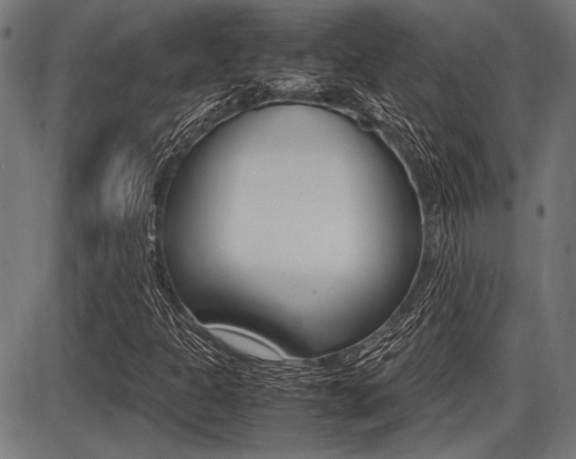 X0000087691301200705040811