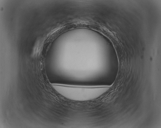 X0000087691303200705040811