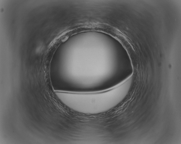 X0000087691304200705040811