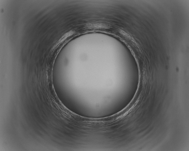 X0000087691305200705040811