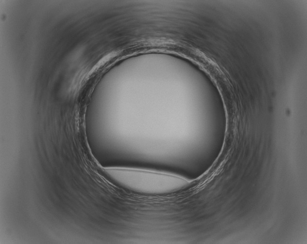 X0000087691306200705040811