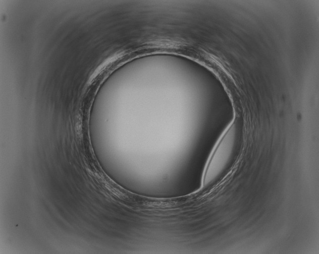 X0000087691307200705040811