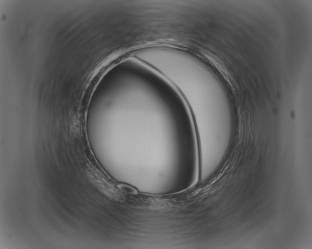 X0000087691308200705040811