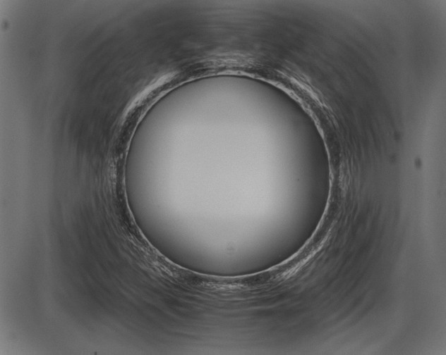 X0000087691309200705040811