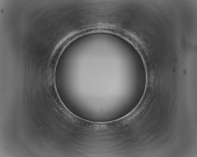 X0000087691310200705040811