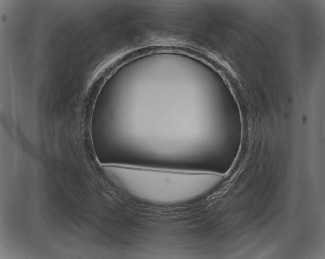 X0000087691311200705040811