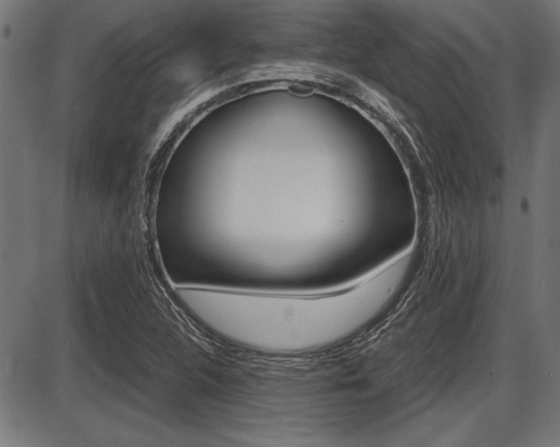 X0000087691312200705040811