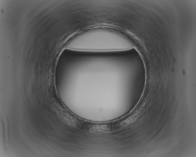 X0000087691313200705040811