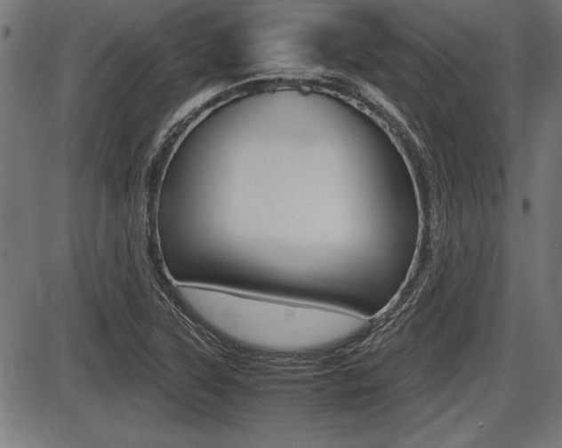 X0000087691315200705040811
