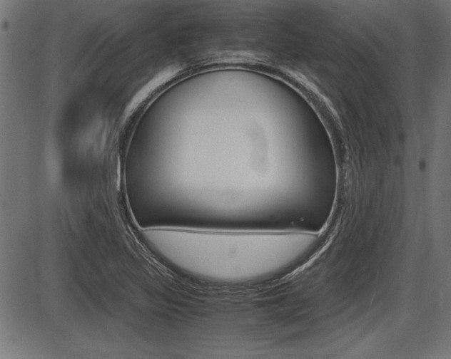 X0000087691317200705040811
