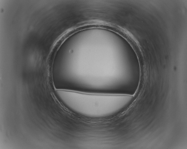 X0000087691318200705040811