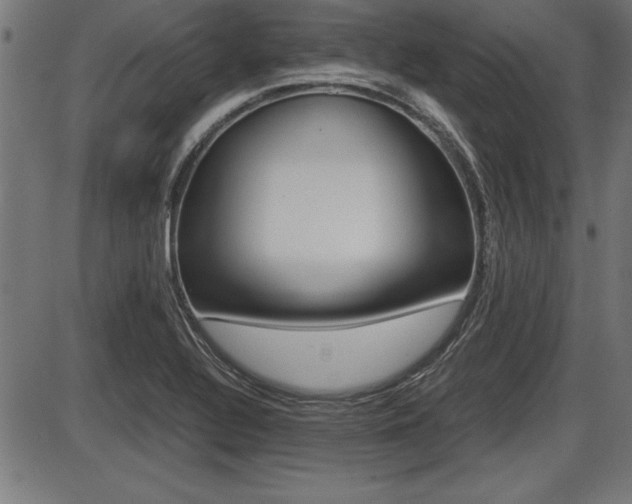 X0000087691320200705040811