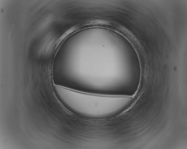 X0000087691321200705040811