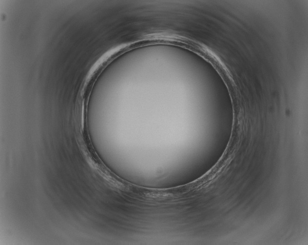 X0000087691323200705040811