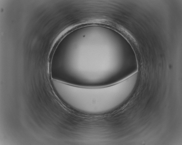 X0000087691324200705040811
