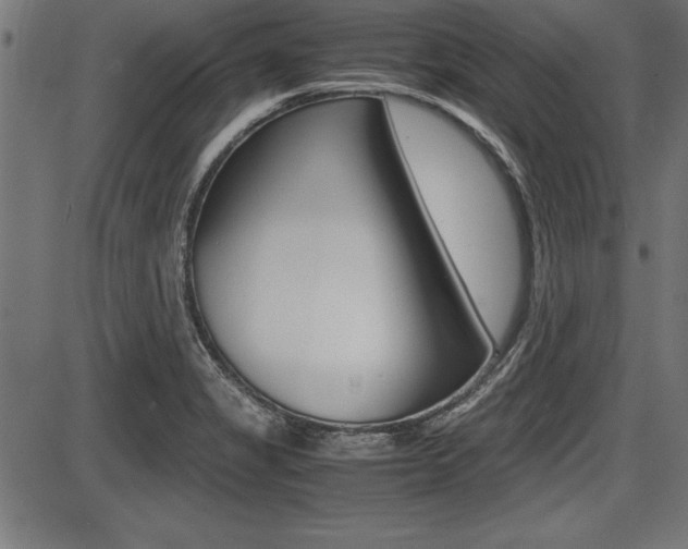 X0000087691325200705040812