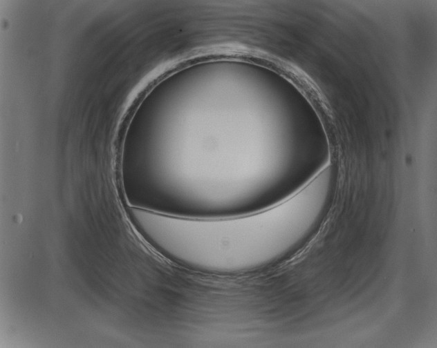 X0000087691326200705040812