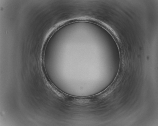 X0000087691327200705040812