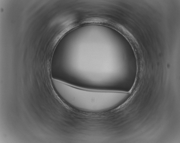X0000087691329200705040812