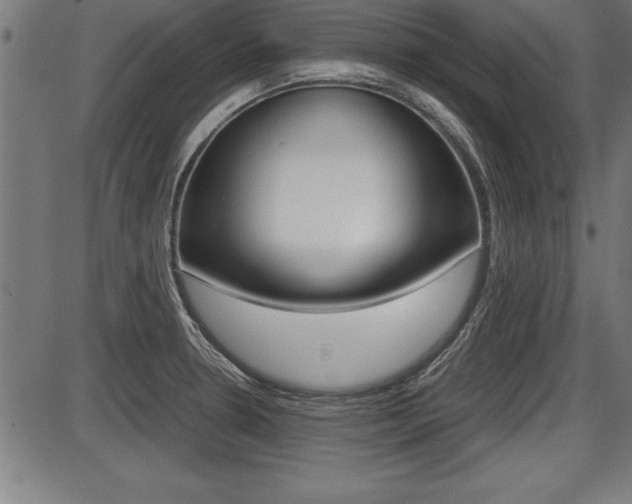 X0000087691330200705040812