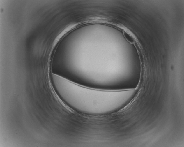 X0000087691333200705040812