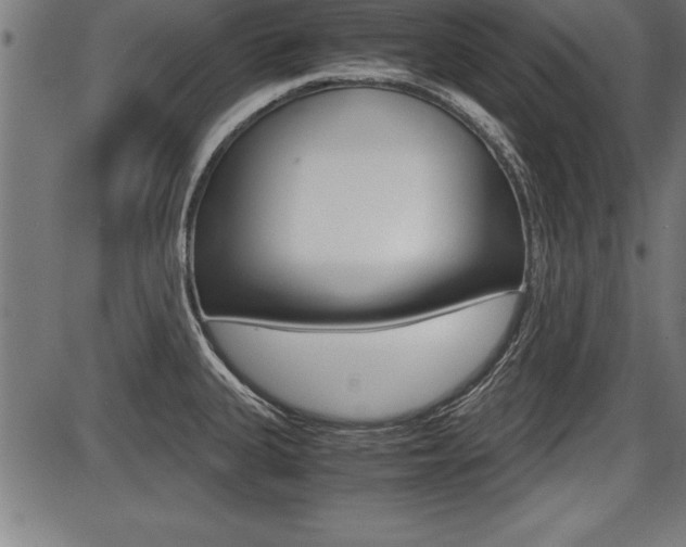 X0000087691335200705040812