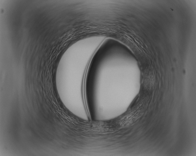 X0000087691345200705040811