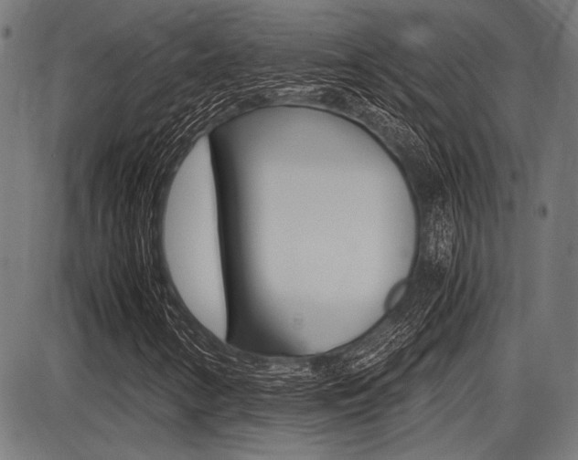X0000087691346200705040811