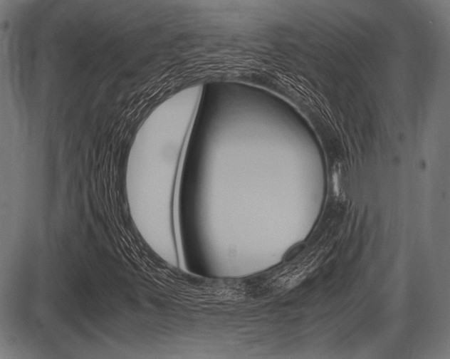 X0000087691347200705040811